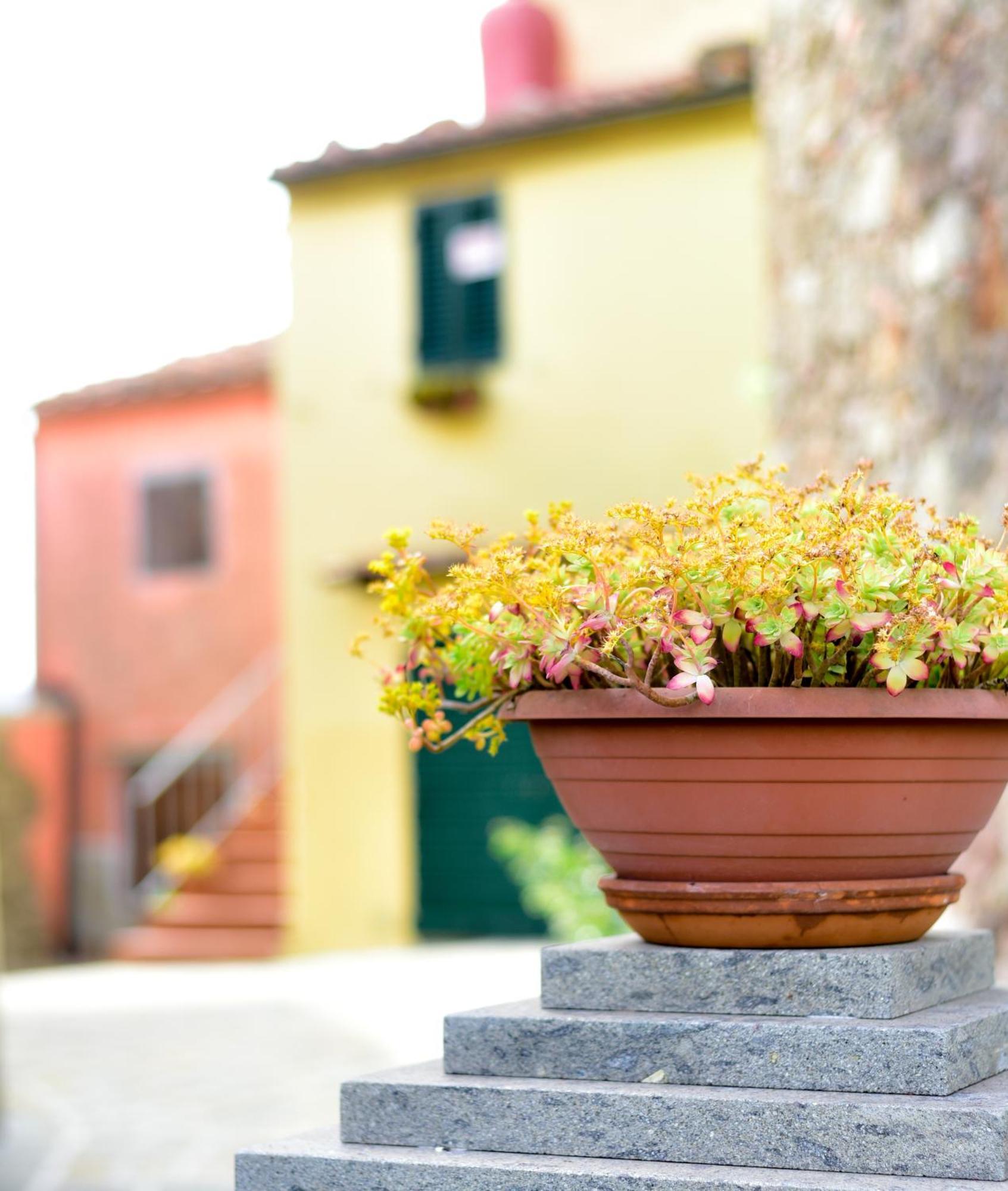 Agriturismo Castello Delle Fornaci - Private Jacuzzi Arcidosso Kültér fotó